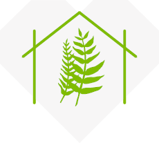 Fern Tuakana Room